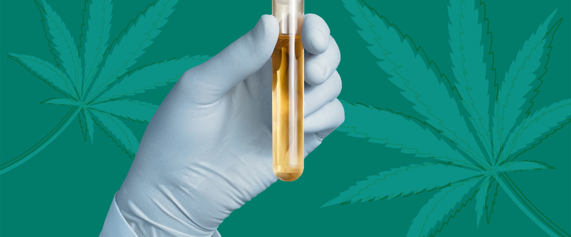 Will Hemp Products Cause You to Fail a Drug Test?