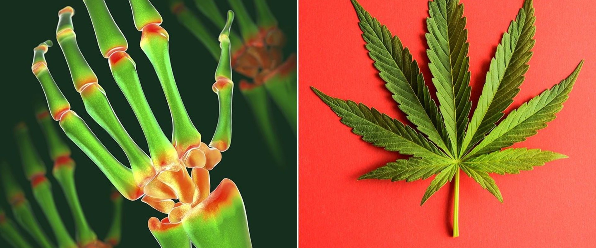 Can Hemp Help with Pain Relief?