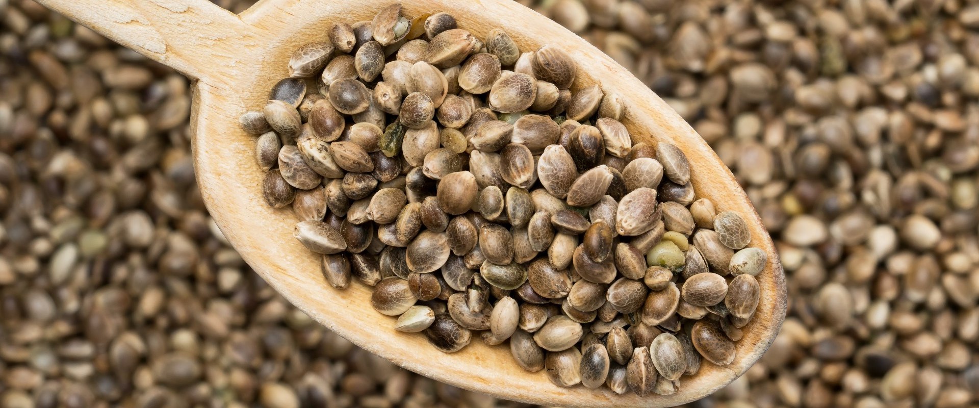 Can You Fail a Drug Test from Hemp Seed Oil?
