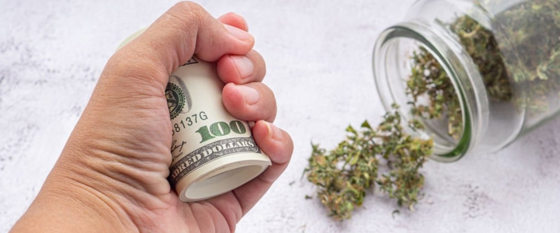 How Profitable is the Hemp Industry? A Comprehensive Guide