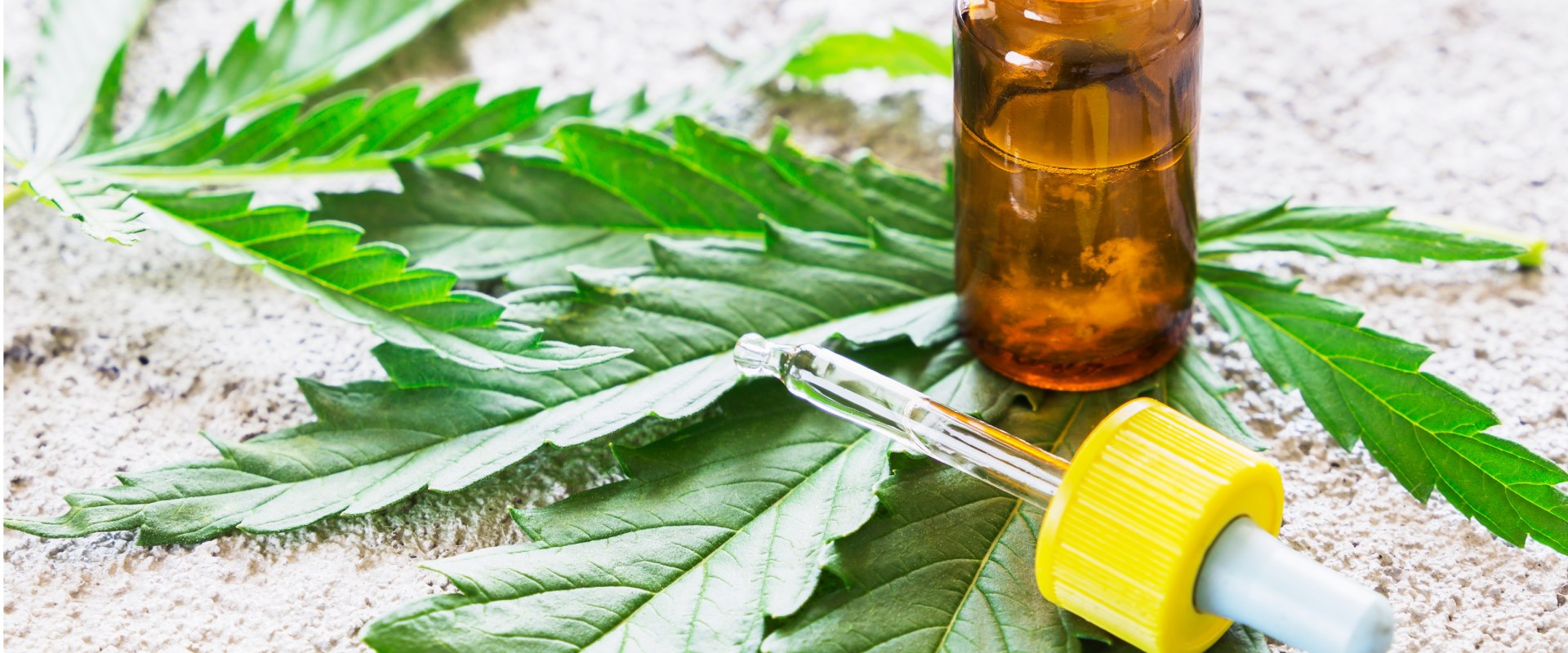 Which is Better for Pain Relief: Hemp or CBD?