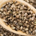Can You Fail a Drug Test from Hemp Seed Oil?