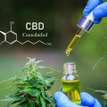 What is the Difference Between Hemp and CBD?