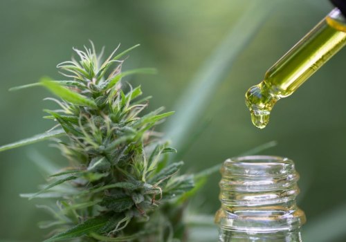 Can Hemp Extract Help Relieve Pain?